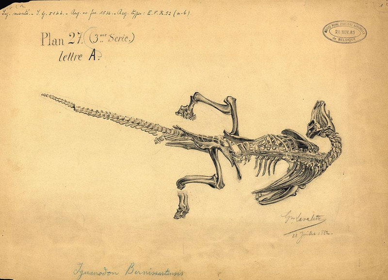 Illustration for article titled The 19th-Century Artist Who Sketched Fossils In Their Death Poses